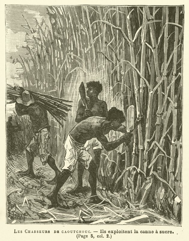 Les Chasseurs De Caoutchouc (gravura) de French School