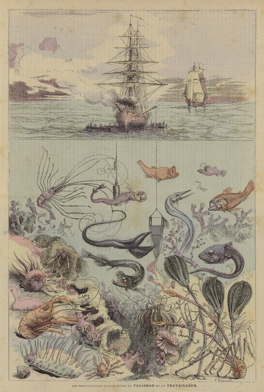 Les Explorations Sous-Marines du Talisman et du Travailleur (litografia a cores) de French School