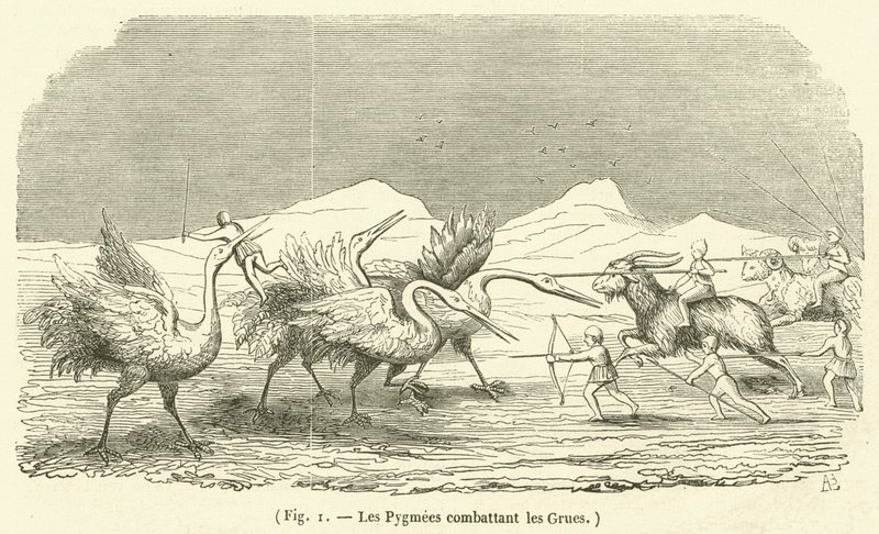 Guindastes de combate aos pigmeus (gravura) de French School
