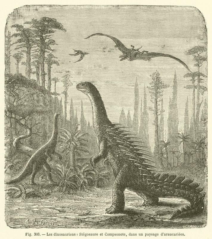 Dinosaurianos, Estegossauros e Compsonote, numa paisagem de amendoins (gravura) de French School