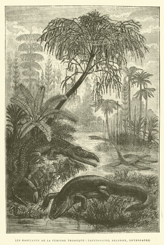 Habitantes do período triássico, capitossauro, belodon, nothossauro (gravura) de French School