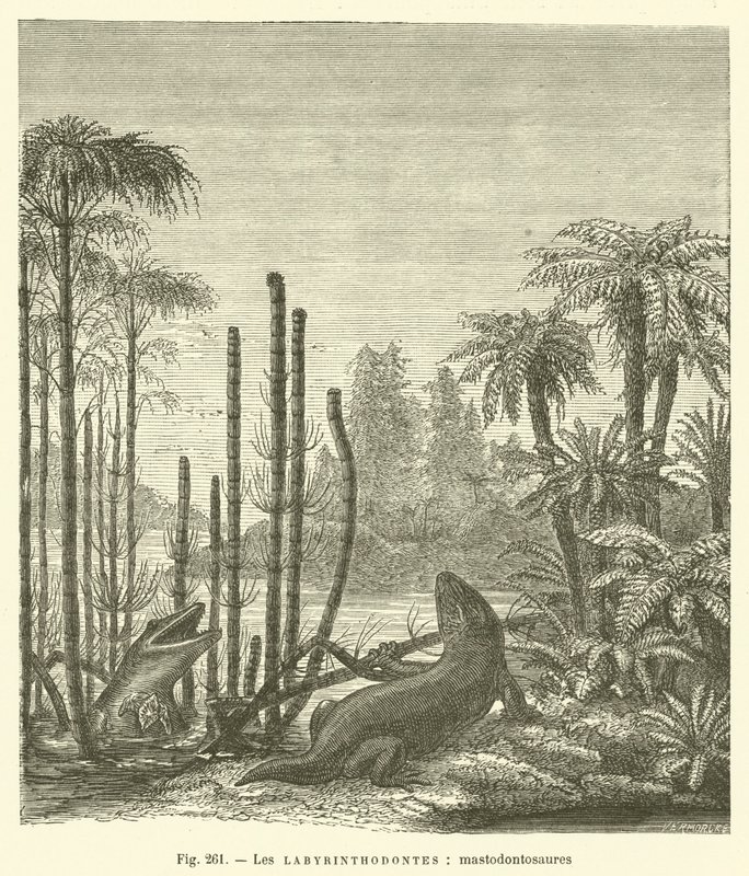 Labirintiodontes, mastodontossauros (gravação) de French School