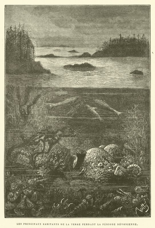 Os principais habitantes da terra durante o período devoniano (gravura) de French School
