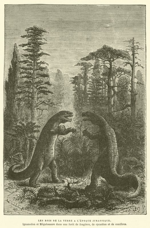 Os reis da terra no período Jurássico (gravura) de French School