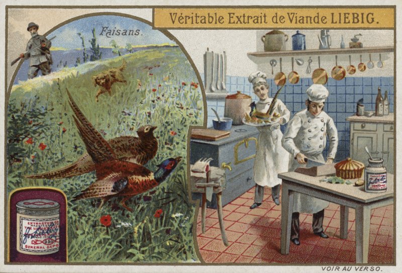 Cartão Liebig com faisões de French School