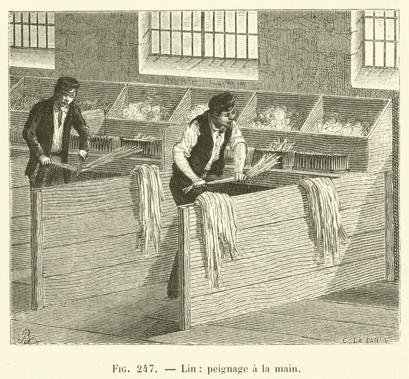 Linho, penteado à mão (gravura) de French School
