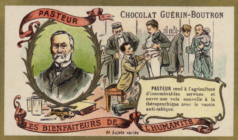 Louis Pasteur, químico e microbiologista francês (chromolitho) de French School