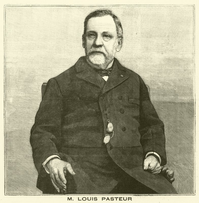 Louis Pasteur, microbiologista francês (gravura) de French School
