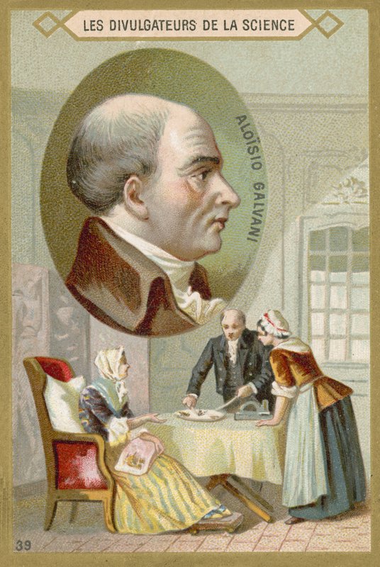 Luigi Galvani, médico e físico italiano de French School