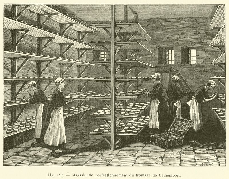 Loja de melhoramento de queijo Camembert (gravura) de French School