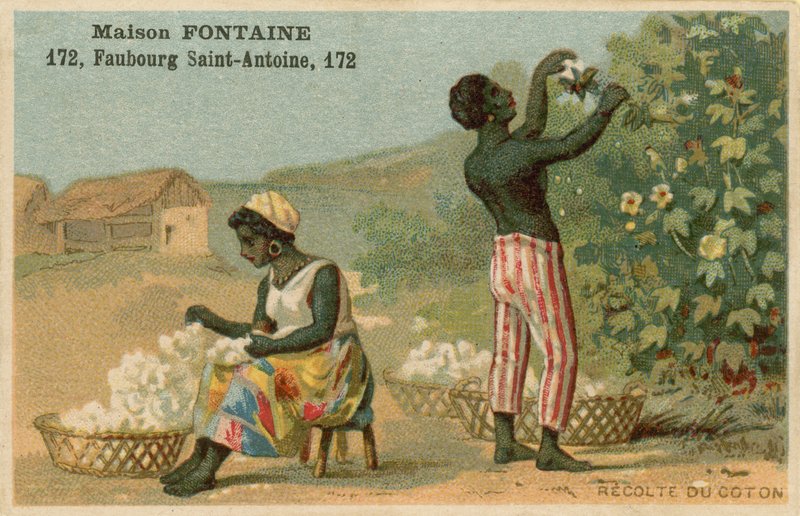 Cartão de comércio de fonte de casa, colheita de algodão de French School