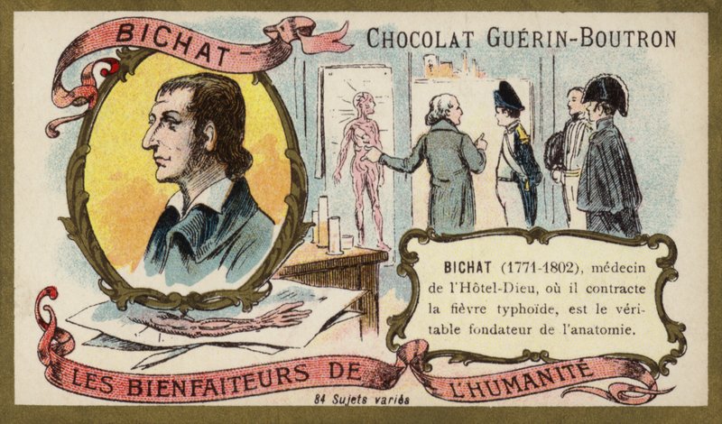 Marie Francois Xavier Bichat, fisiologista e anatomista francesa (chromolitho) de French School