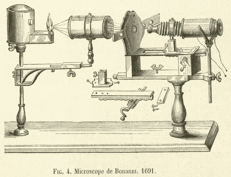 Microscópio de Bonanni de French School