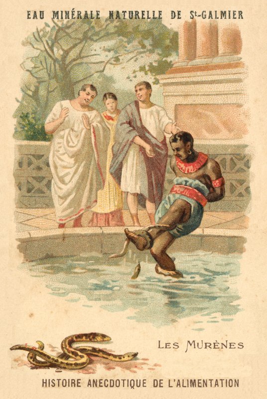 Moreia enguias (chromolitho) de French School