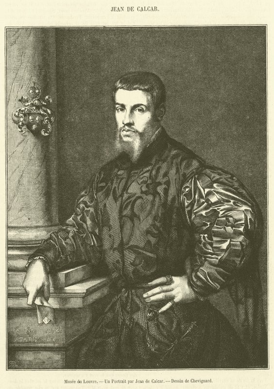 Musee du Louvre, Um Retrato de Jean de Calcar (gravura) de French School