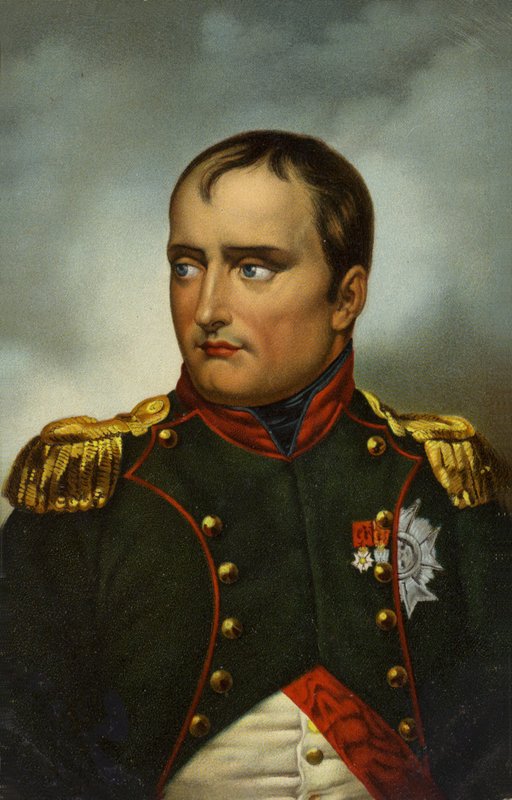 Napoleão I de French School