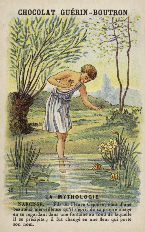 Narciso de French School