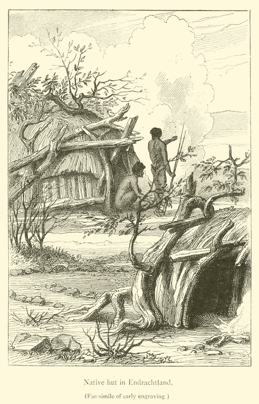 Cabana nativa em Endrachtland (gravura) de French School