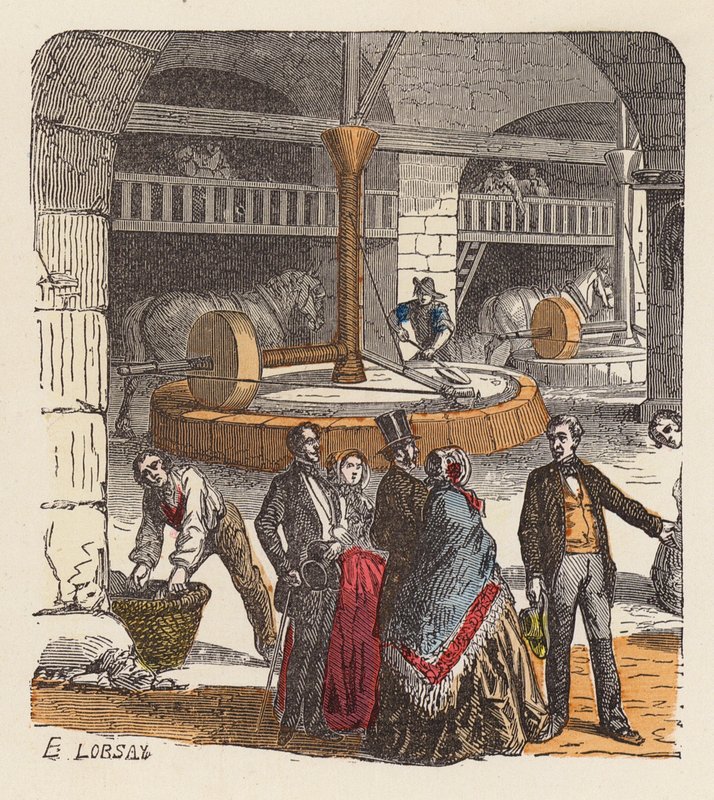 Produção de azeite (gravura colorida) de French School