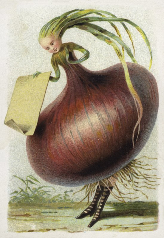 Cebola de French School
