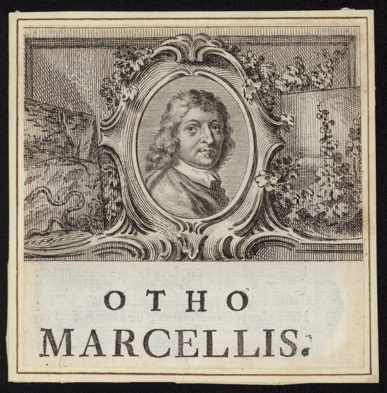 Otto Marseus van Schrieck de French School
