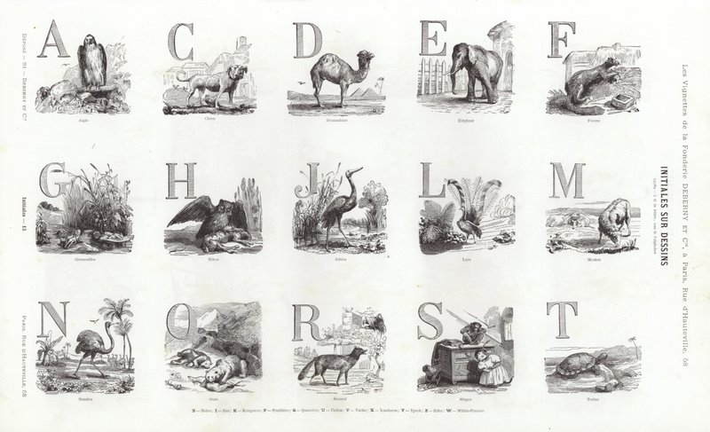 Página de Vignettes Typographiques (gravura) de French School
