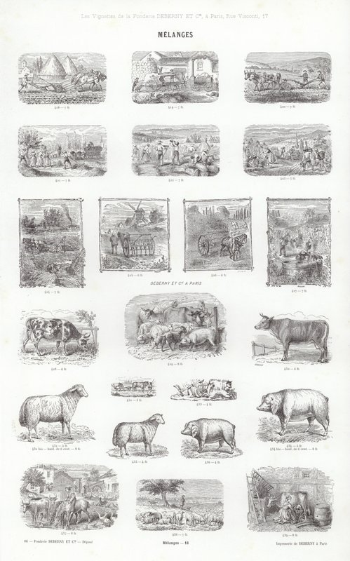 Página de Vignettes Typographiques (gravura) de French School