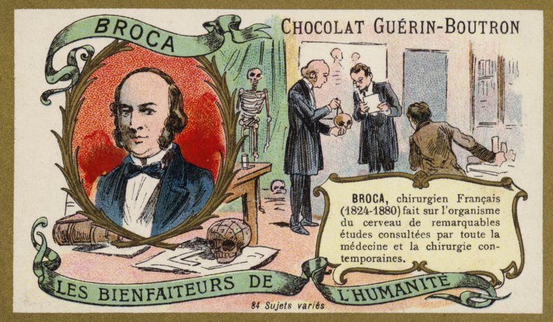 Paul Broca, médico, anatomista e antropólogo francês (chromolitho) de French School