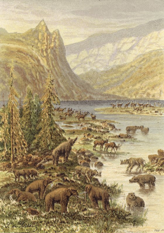 Paisagem terciária da Europa (litografia a cores) de French School