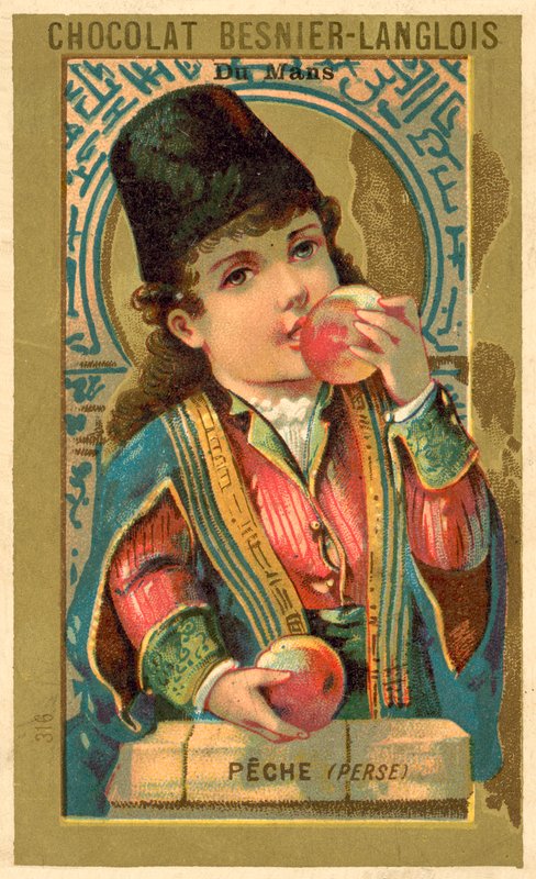 Pêssegos da Pérsia (chromolitho) de French School