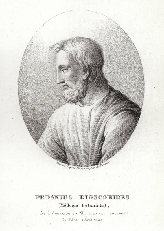 Dioscórides de French School