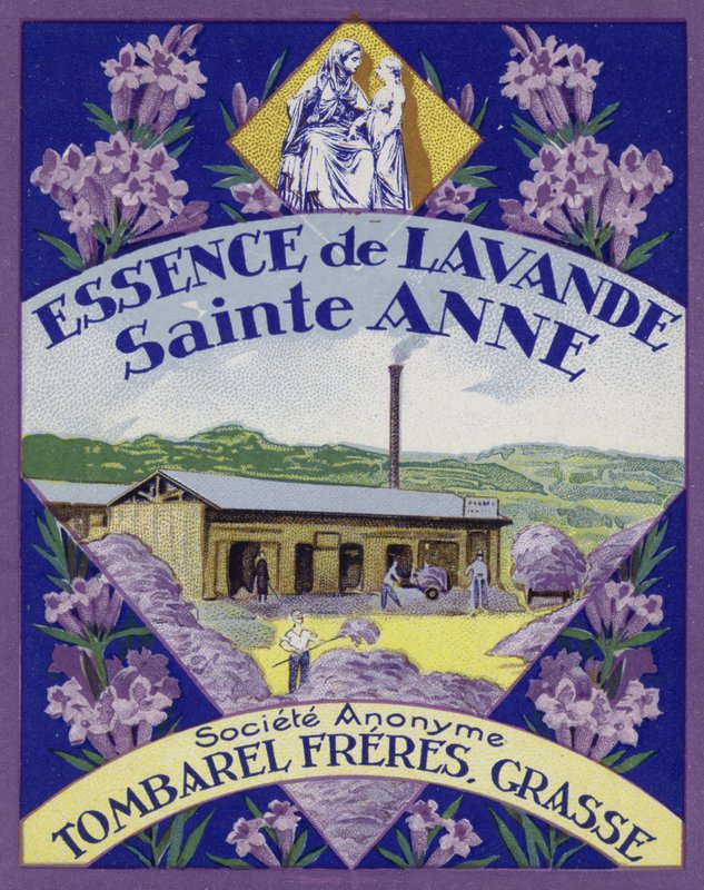 Rótulo de perfume, essência de lavanda de French School
