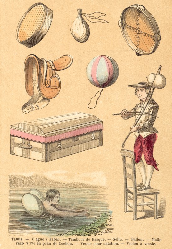 Porco (gravação a cores) de French School