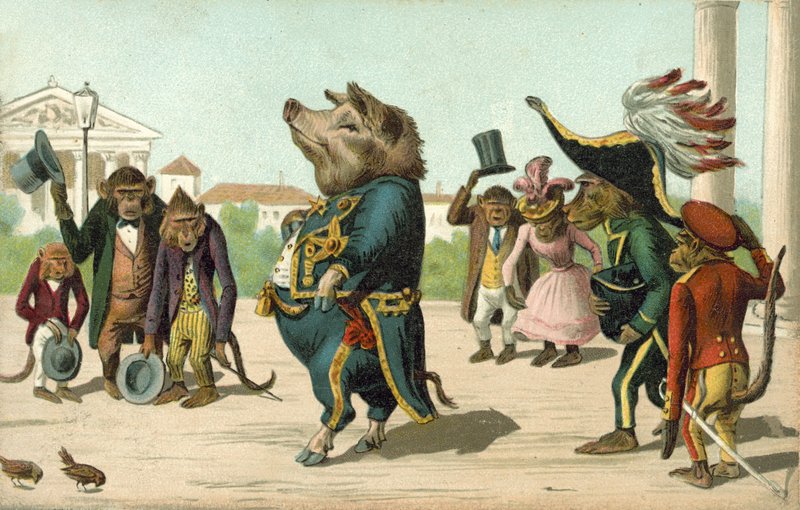 Porco vestido de general (cor litho) de French School