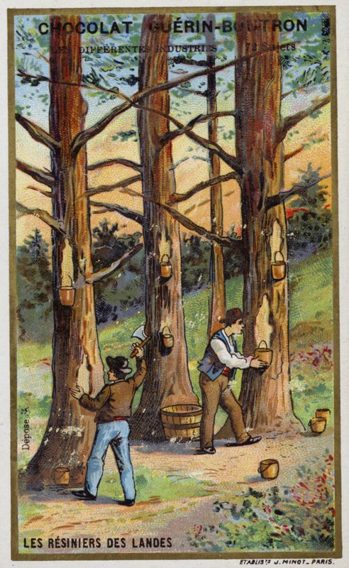 Colectores de resina de pinheiro nas Landes, França (chromolitho) de French School