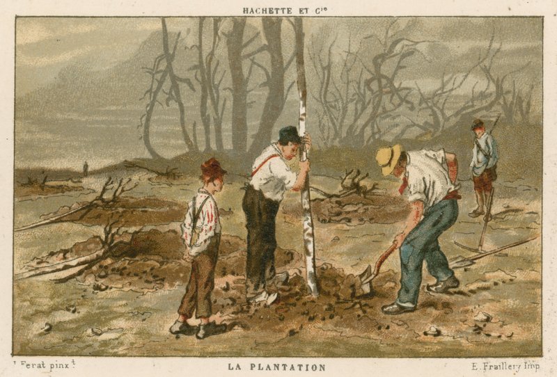 Plantando árvores de French School