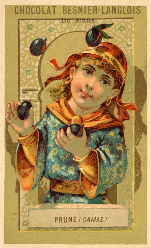 Ameixas de Damasco (chromolitho) de French School