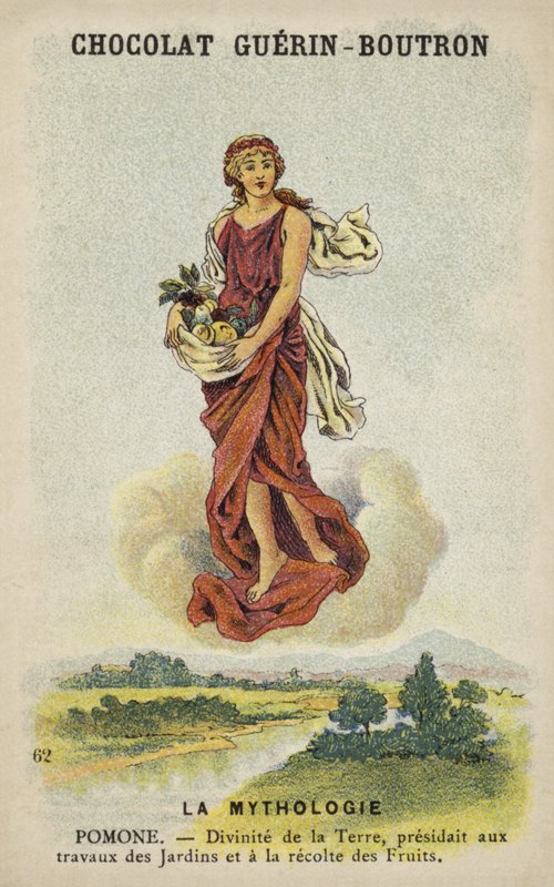 Pomone ou Pomona de French School