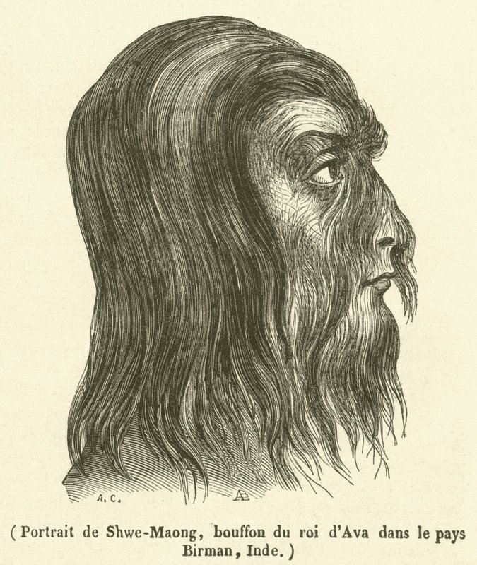 Retrato de Shwe-Maong, bobo do rei de Ava em Burma, Índia (gravura) de French School