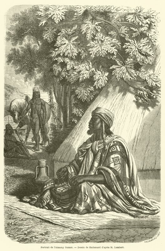 Retrato do Almamy Oumar (gravura) de French School