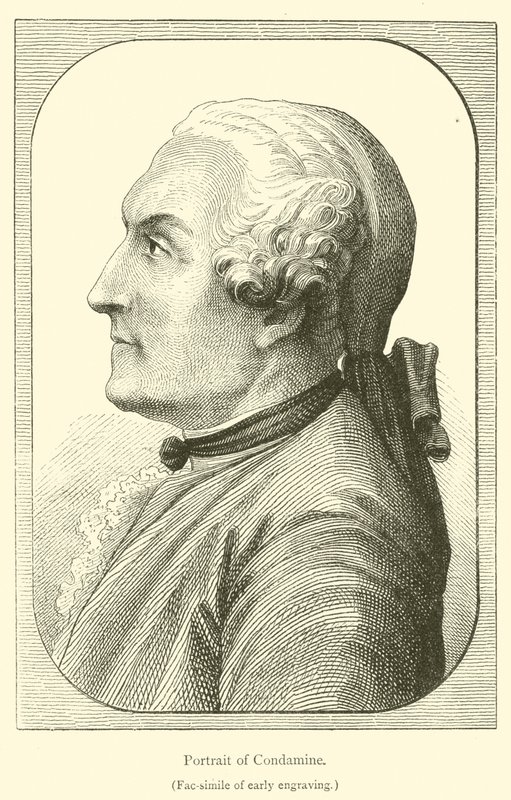 Retrato de Condamina (gravura) de French School