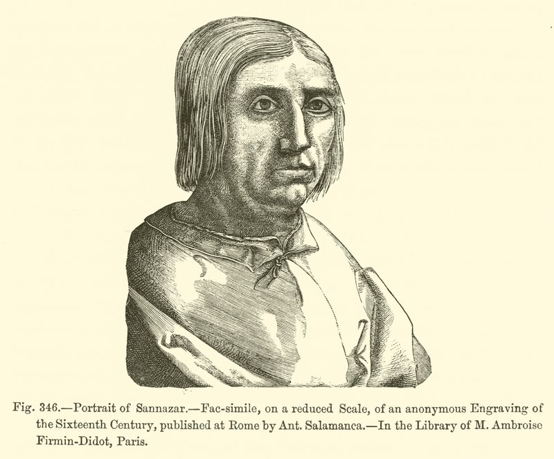 Retrato de Sannazar (gravura) de French School