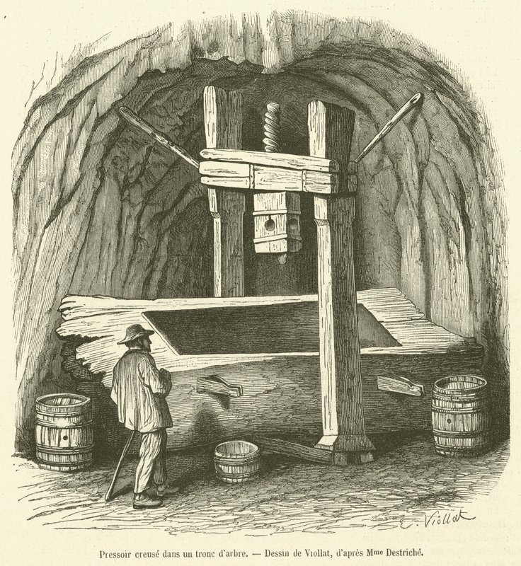 Ocos de prensa num tronco de árvore (gravura) de French School