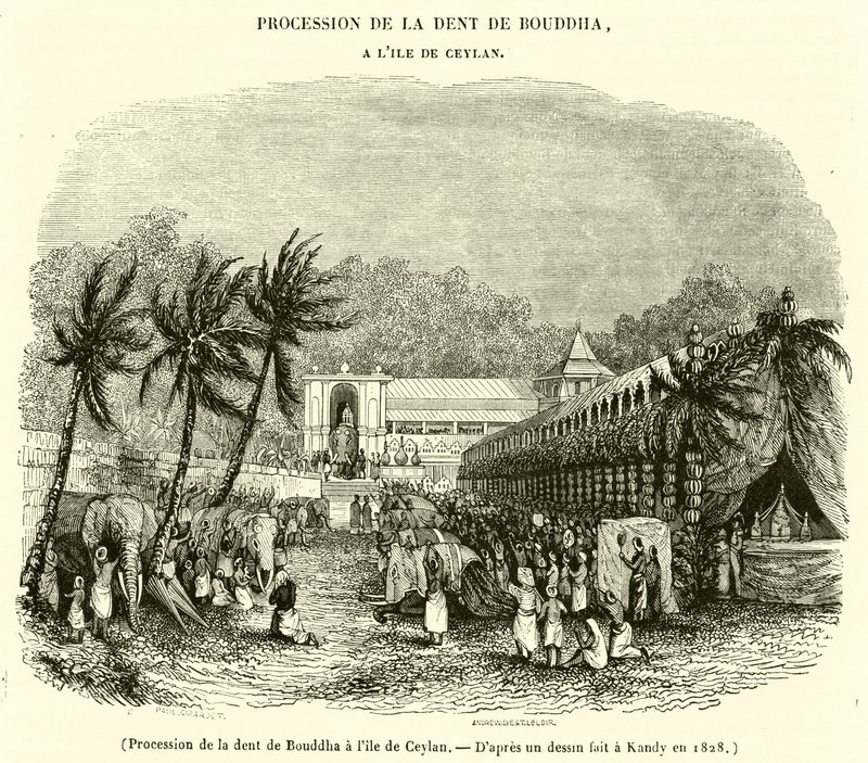 Procissão dos dentes de Buda no Ceilão (gravura) de French School