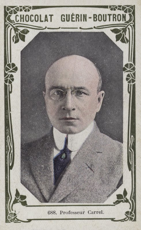 Professor Carrel (foto colorida) de French School