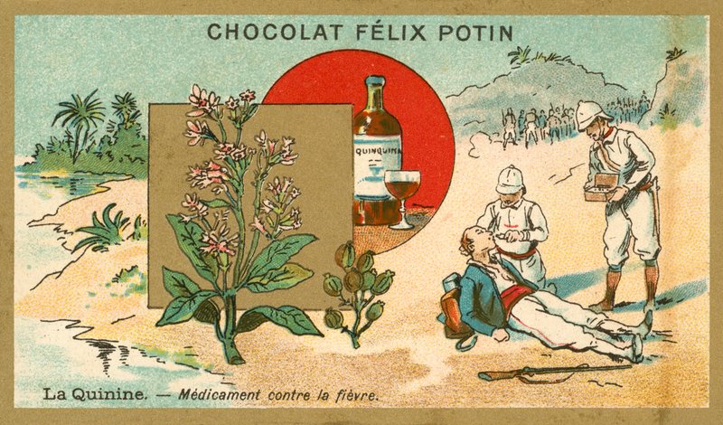 Quinine, remédio contra febre de French School
