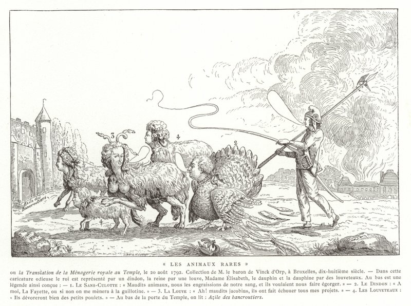 Animais raros de French School