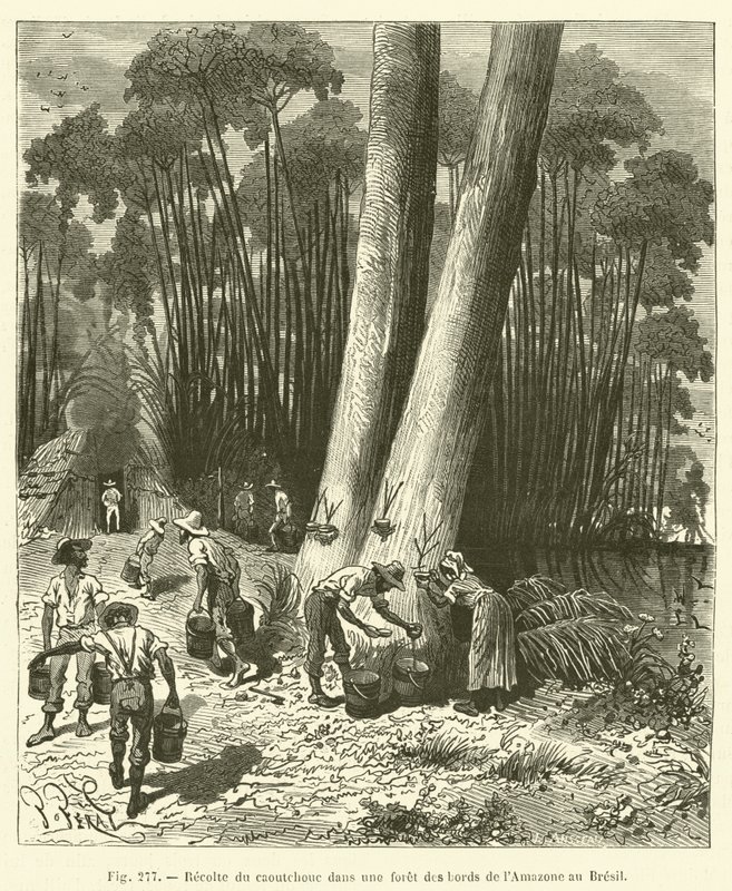 Colheita de seringueira em uma floresta nas margens da Amazônia no Brasil de French School