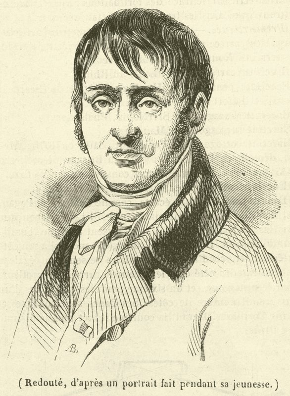 Redoute (gravura) de French School