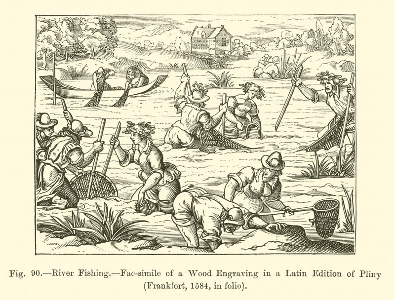 Pesca no rio (gravura) de French School